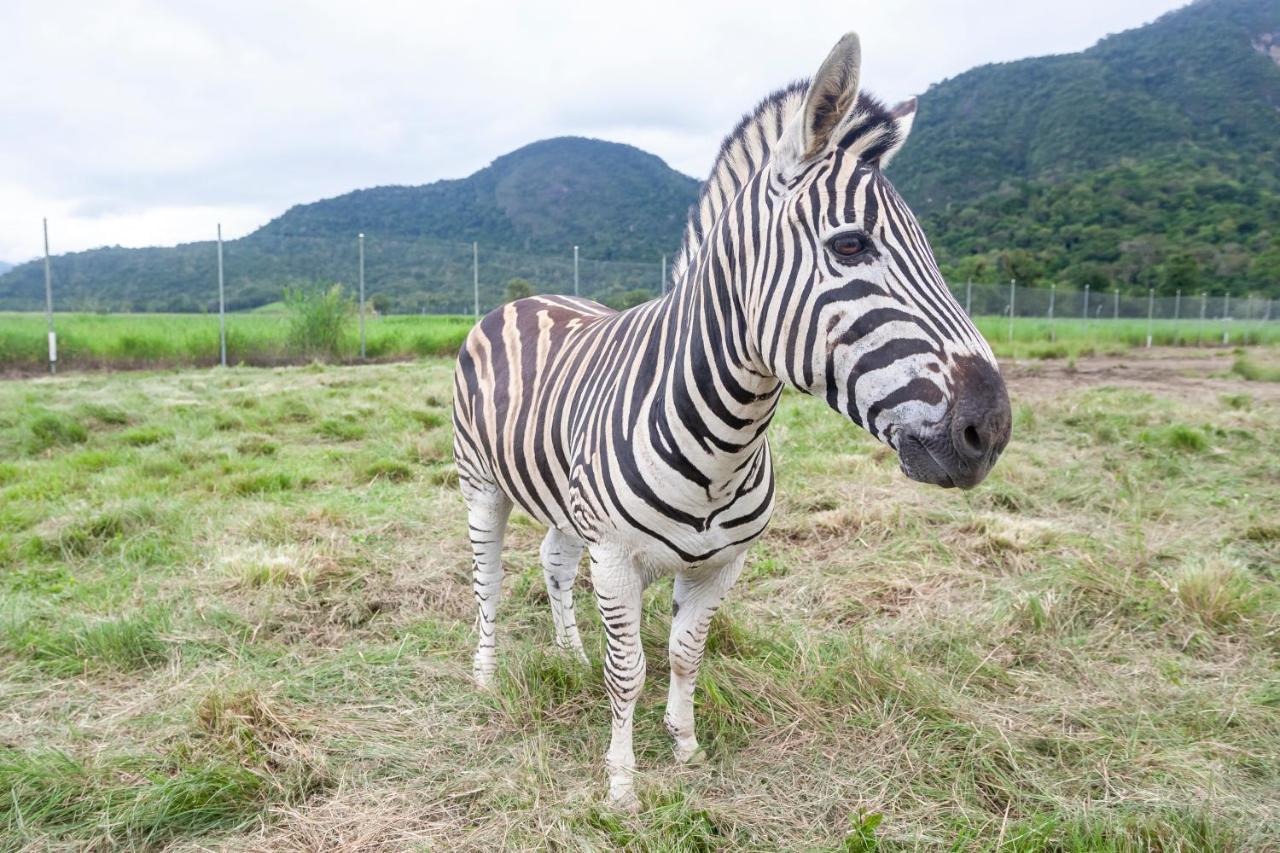 Hotel Portobello Resort & Safari マンガラチバ エクステリア 写真