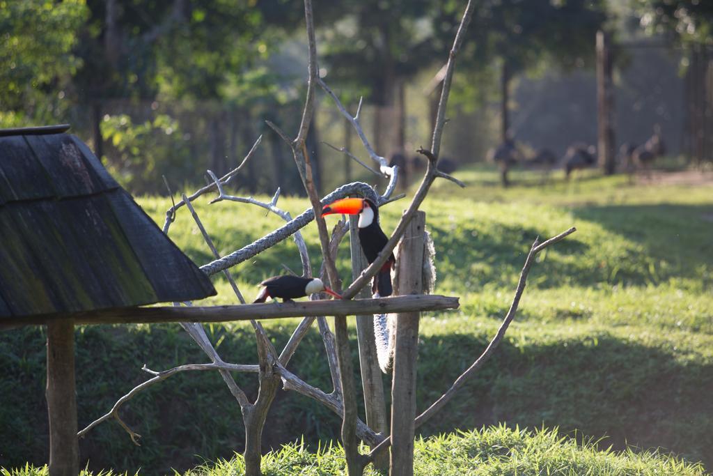 Hotel Portobello Resort & Safari マンガラチバ エクステリア 写真