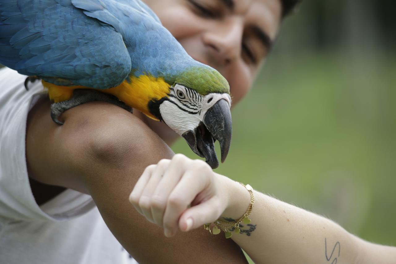 Hotel Portobello Resort & Safari マンガラチバ エクステリア 写真